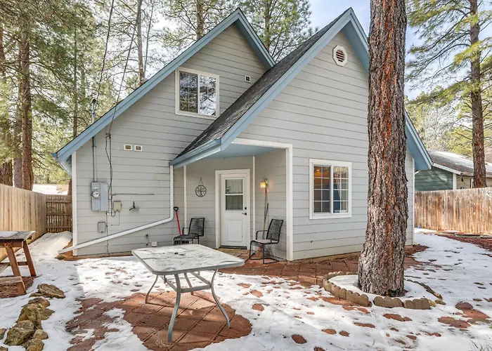 Explore The Coconino Forest!