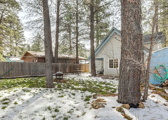 Explore The Coconino Forest! Dom wakacyjny