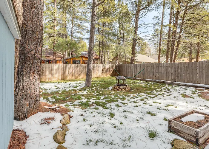 Explore The Coconino Forest! Flagstaff